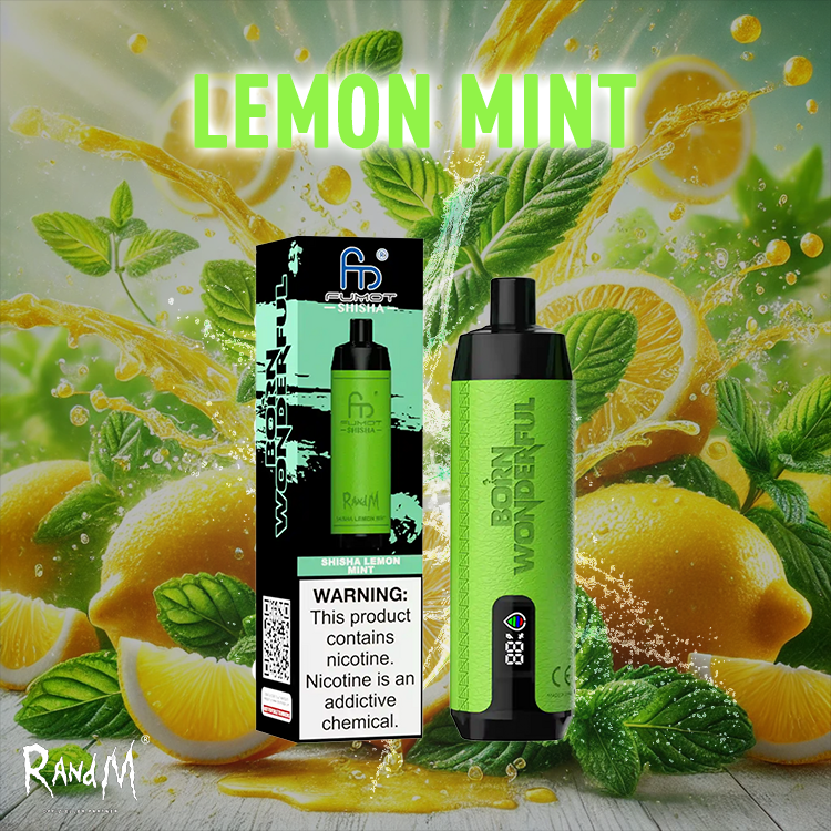 RandM Shisha Vape 10000- Lemon Mint